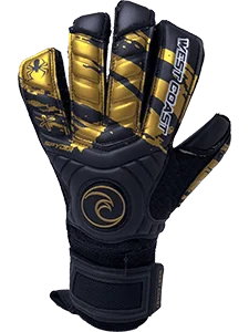 glove for pros-  SPYDER X Assault