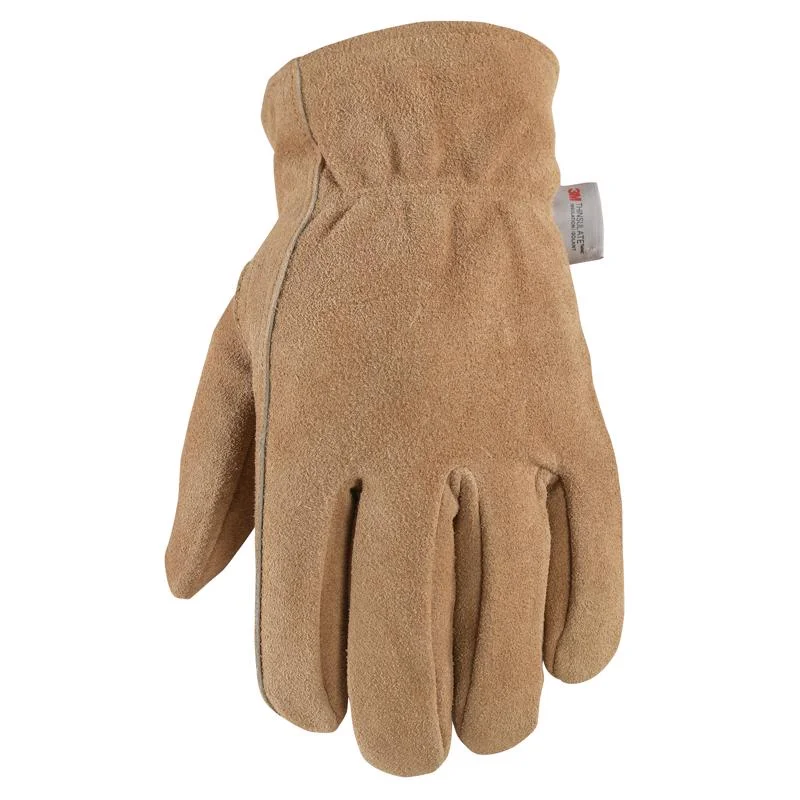 glove with detailed-  Wells Lamont L Suede Cowhide Heavy Duty Brown Gloves (Pack of 3).