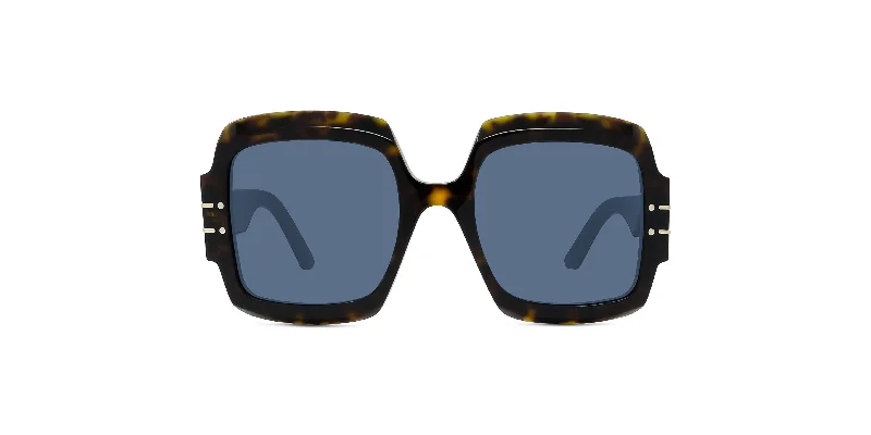 custom sunglasses designs-DiorSignature S1U Sunglasses